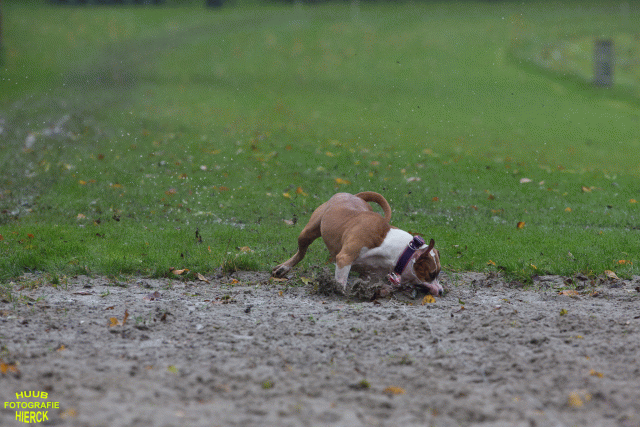 Ct3Q8447 24035198928 O