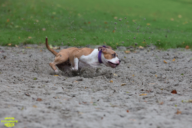 Ct3Q8444 24035199038 O