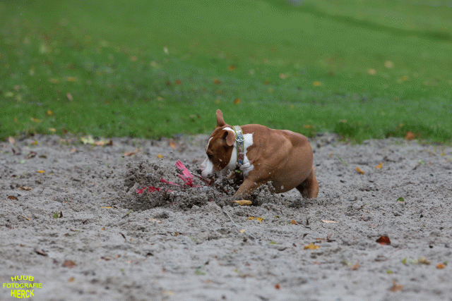 Ct3Q8432 24035199938 O