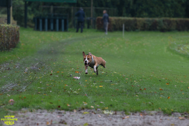 Ct3Q8412 24035200928 O