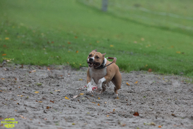 Ct3Q8403 24035201298 O