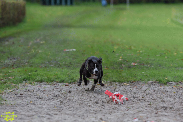 Ct3Q8722 24035245068 O