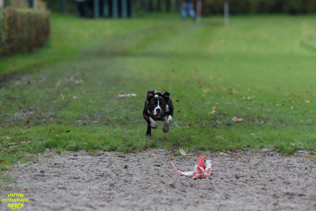 Ct3Q8720 24035245228 O