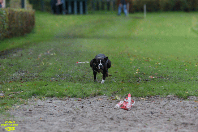 Ct3Q8718 24035245548 O