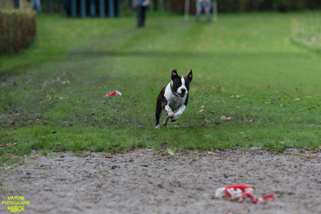 Ct3Q8715 24035245838 O