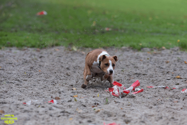 Ct3Q8712 24035246068 O