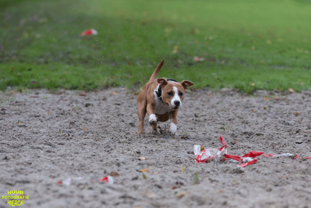 Ct3Q8710 24035246288 O