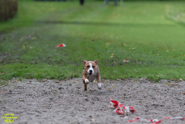 Ct3Q8707 24035246548 O