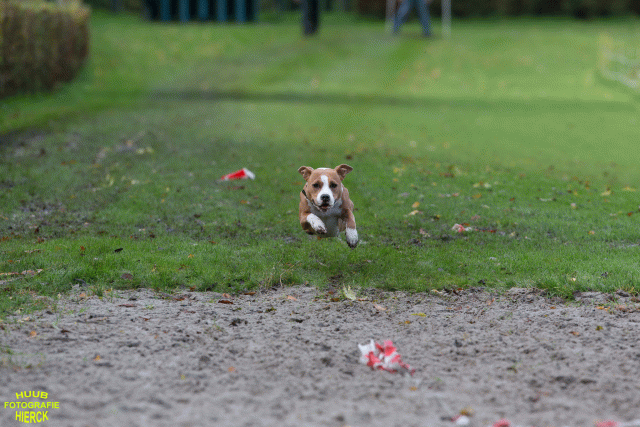 Ct3Q8704 24035246738 O