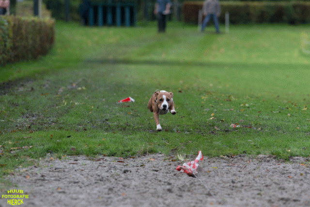 Ct3Q8701 24035246938 O