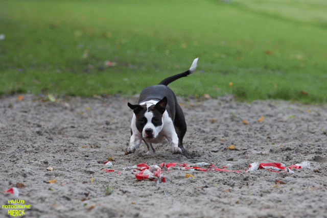 Ct3Q8697 24035247138 O