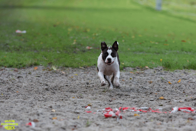 Ct3Q8694 24035247368 O