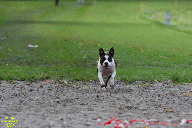 Ct3Q8691 24035247678 O