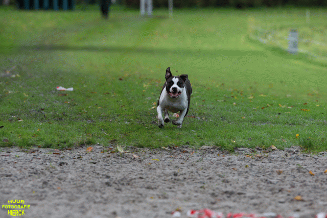 Ct3Q8687 24035247978 O