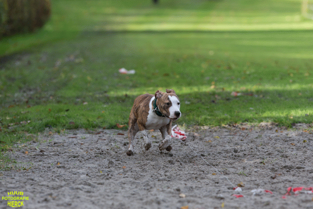 Ct3Q8683 24035248158 O