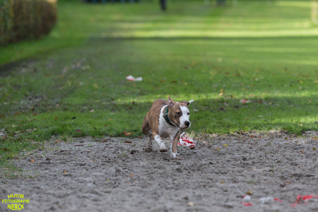 Ct3Q8681 24035248318 O