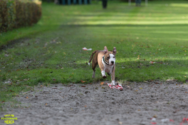 Ct3Q8678 24035248518 O