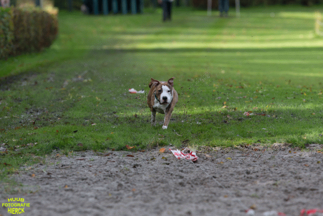 Ct3Q8675 24035248678 O