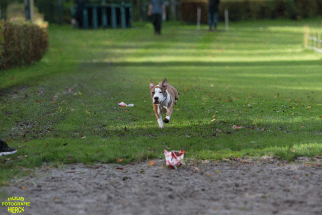 Ct3Q8672 24035248798 O