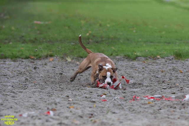 Ct3Q8669 24035248938 O