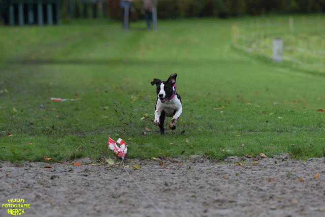 Ct3Q8649 24035250828 O