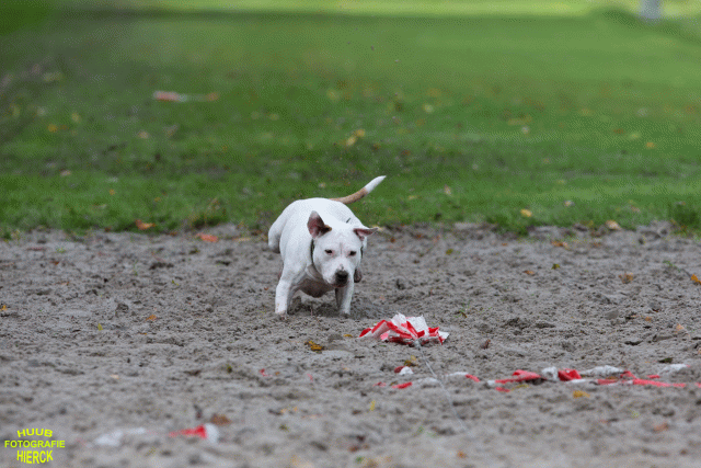 Ct3Q8630 24035251688 O