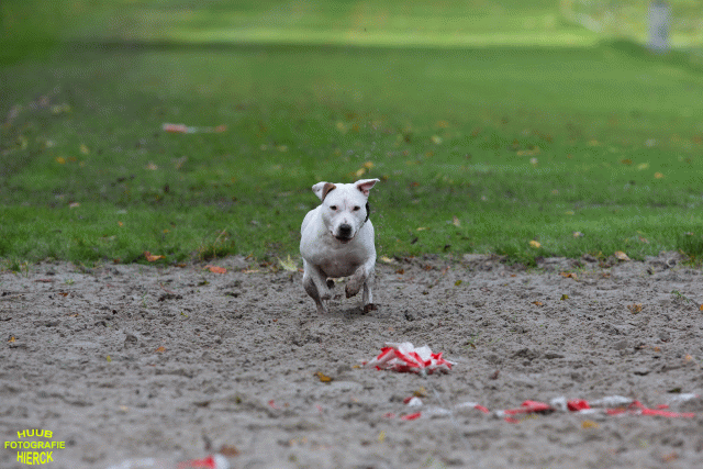 Ct3Q8628 24035251868 O