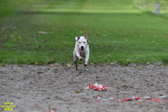 Ct3Q8626 24035252008 O