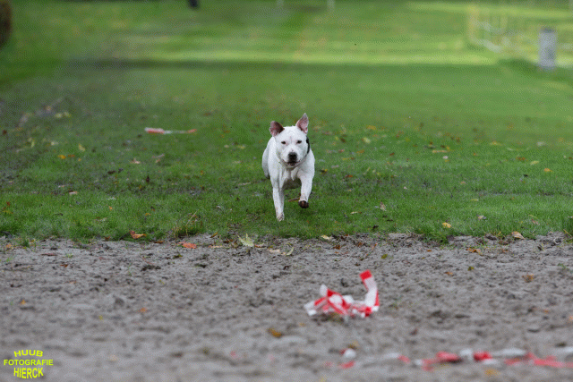 Ct3Q8623 24035252158 O