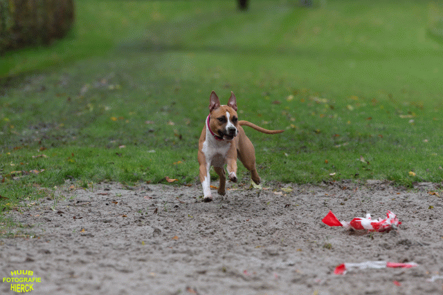 Ct3Q8592 37167219983 O