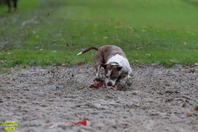 Ct3Q8585 37167220193 O