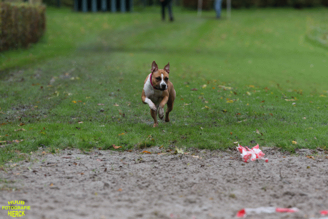 Ct3Q8588 37167220293 O