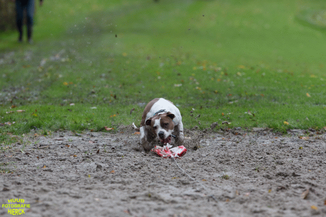 Ct3Q8582 37167220403 O