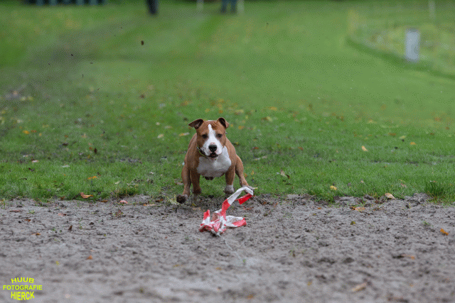 Ct3Q8572 37167221013 O