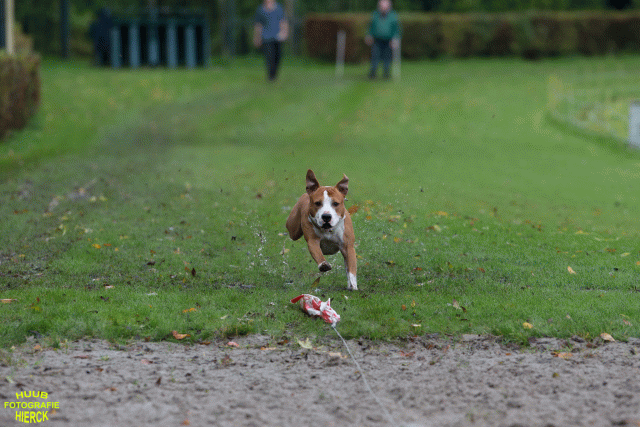 Ct3Q8568 37167221163 O