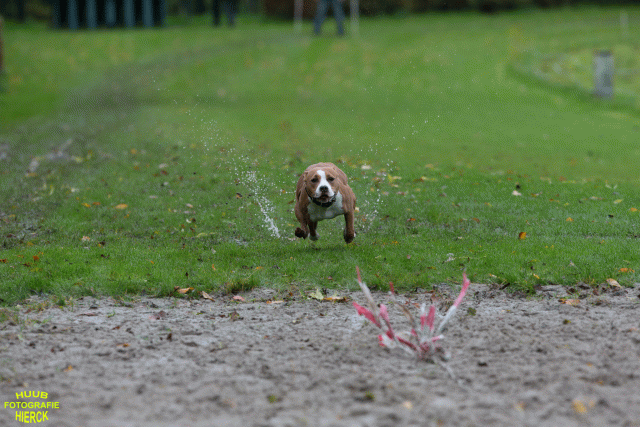 Ct3Q8479 37167225343 O