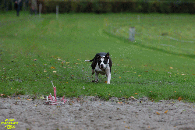 Ct3Q8474 37167225463 O