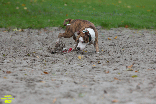 Ct3Q8472 37167225613 O