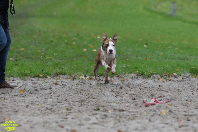 Ct3Q8470 37167225723 O