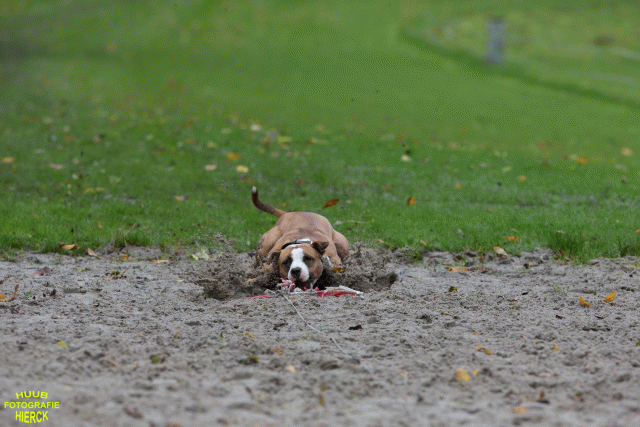 Ct3Q8465 37167225893 O