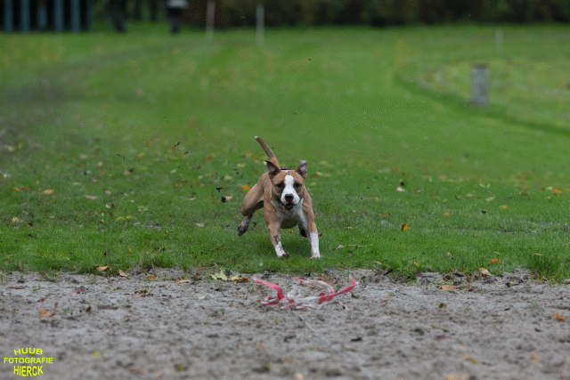 Ct3Q8462 37167226013 O