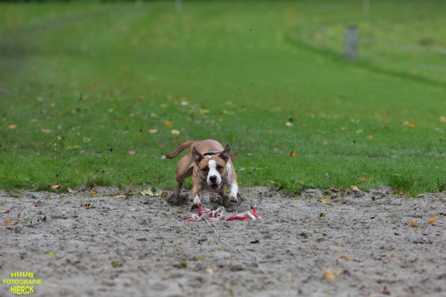 Ct3Q8464 37167226133 O