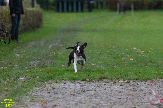 Ct3Q8456 37167226283 O