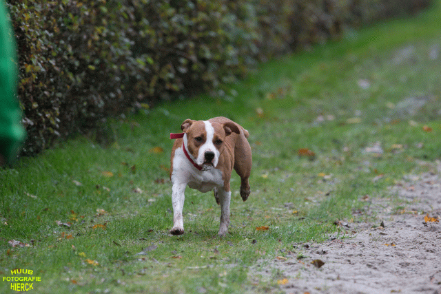 Ct3Q8452 37167226413 O