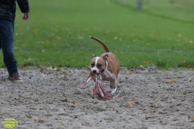 Ct3Q8448 37167226533 O