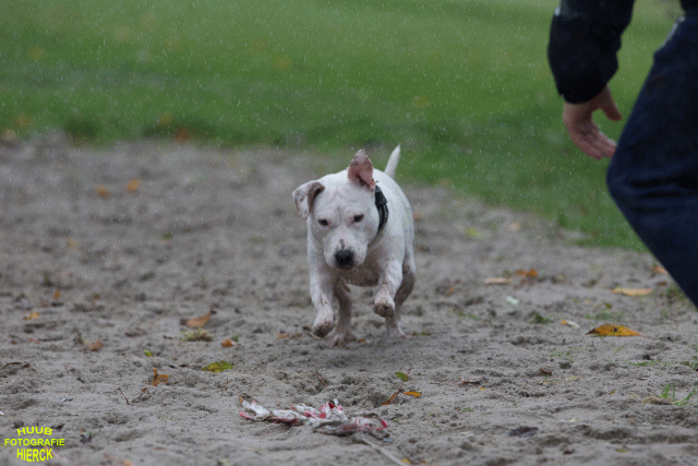 Ct3Q8445 37167226653 O