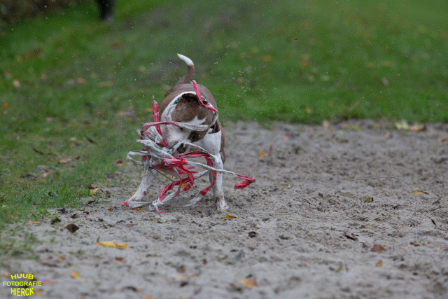 Ct3Q8440 37167226763 O