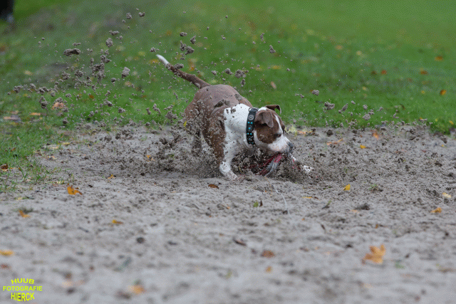 Ct3Q8437 37167226833 O