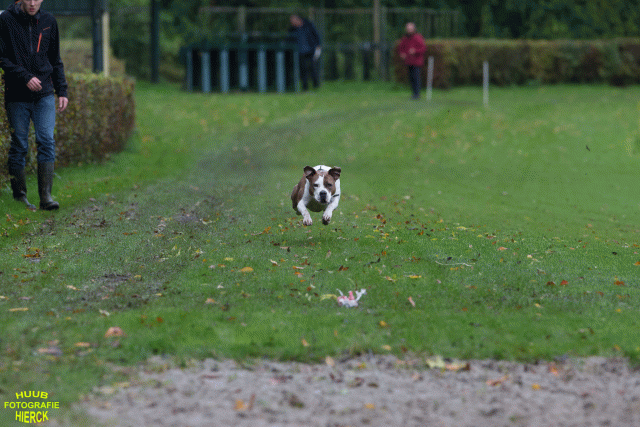 Ct3Q8434 37167226923 O