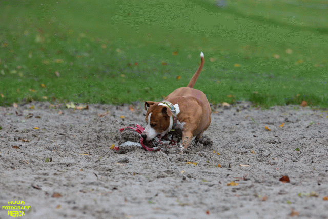 Ct3Q8431 37167227033 O